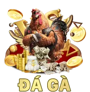 Hướng Dẫn Cá Cược Thể Thao fve88 code