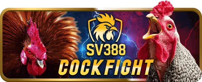 Các loại mã ưu đãi FVE88 CODE phổ biến