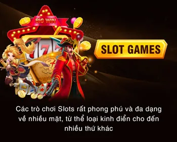 Tỷ lệ cược cạnh tranh và lợi nhuận cao tại FVE88.
